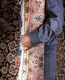 قالی لول در قالیشویی شمیران نو